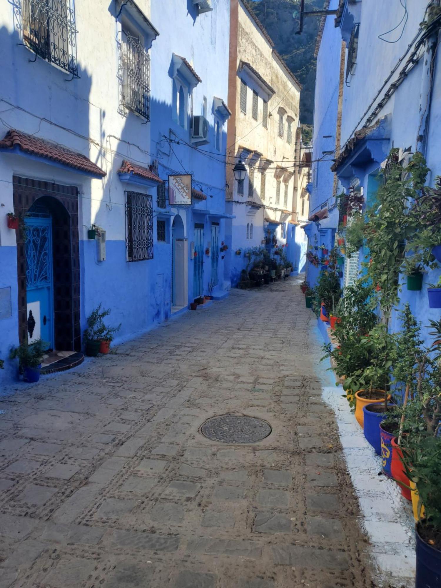 Blue Apartment *